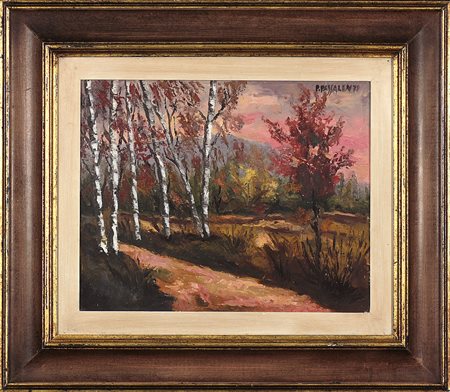 Pino Passalenti, Senza titolo