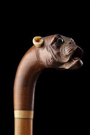 Bastone in malacca con presa in legno e avorio raffigurante un bulldog con bocc