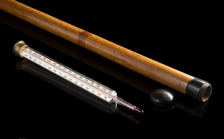 Bastone in bambù con pomolo celante grande termometro. Presa in tartaruga. Fine