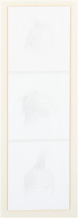 Aldo Tagliaferro (Legnano 1936-Parma 2009)  - Studio per: "Dal segno alla scrittura", 1984