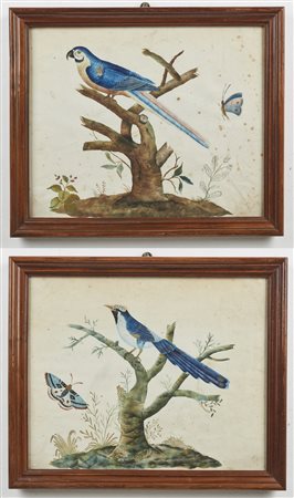 RAINERI CARLO ANTONIO (1765 - 1826) - Nello stile di. Coppia di dipinti raffiguranti paesaggi con uccelli. .