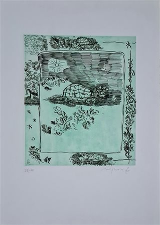 Rognoni Franco - Tartaruga