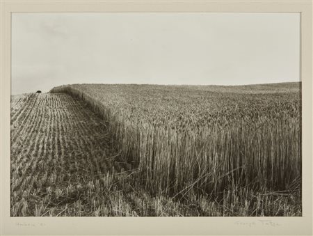 TATGE GEORGE (n. 1951) - Umbria .