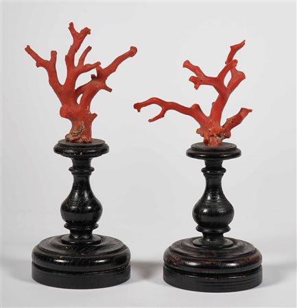 Coppia di rami in corallo rosso Montati su basette di legno tornito a...