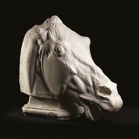 Testa di cavallo in gesso, cm. 66x80 circa