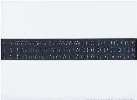 ALDO TAGLIAFERRO Legnano 1936 - 2009 - Identificazione oggettivizzata, 1973,...