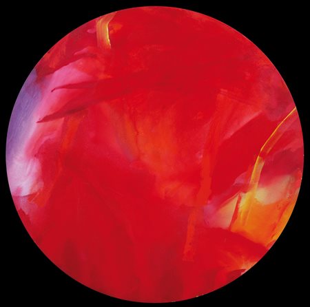 ITALO BRESSAN Vezzano di Trento 1950 - Senza titolo, 1989, olio su tela...