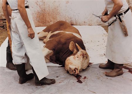 HERMANN NITSCH Vienna 1938 - Senza titolo (performance), 1984, fotografia cm....