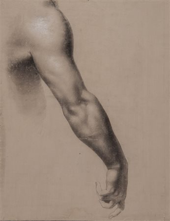 Pittore anonimo del XX secolo "Studio anatomico". Disegno su carta. Cm 54x42,5.