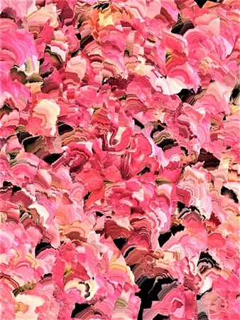 H.Magnus “RHODOCHROSITE”