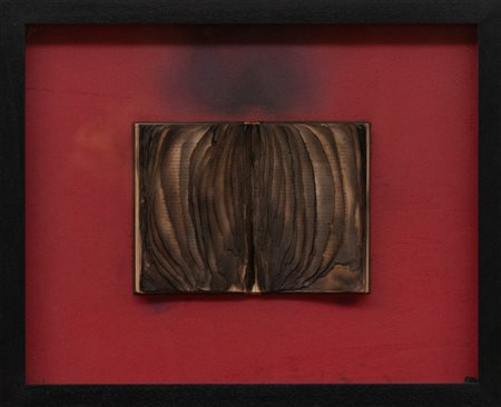 BERNARD AUBERTIN Livre brulè, 2010