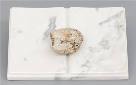 MIRELLA BENTIVOGLIO Libro fossile, 2001