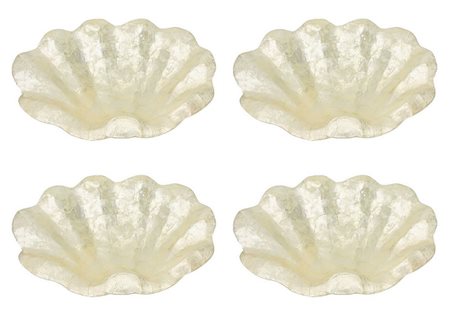 Quattro conchiglie tipo madreperla