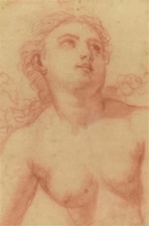 Ignoto RITRATTO sanguigna su carta, cm 20x14 L'opera presenta delle piccole...