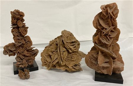 Gruppo di tre rose del deserto di cui due con basi in marmo (h max cm 44) (dife