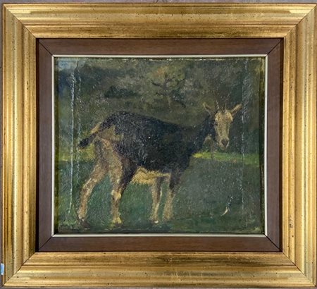 Ignoto "Capra" olio su cartone (cm 26x31) in cornice (difetti)