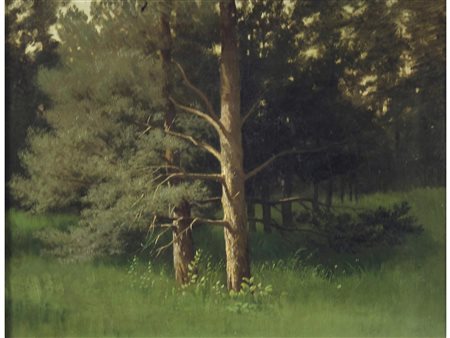 Francesco Lojacono (Palermo 1838-1915) Bosco Olio su Cartoncino Non firmato...