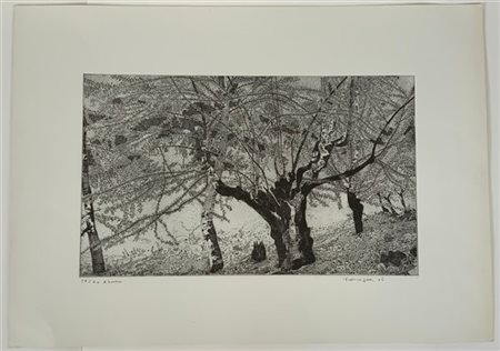 Federica Galli "Abruzzo" 1976
acquaforte e acquatinta
(lastra cm 30x49,5; foglio