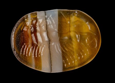 An early roman republican banded agate intaglio. Quadriga.