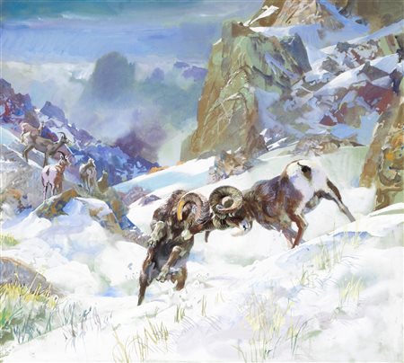 Giorgio De Gaspari - Pecora delle montagne rocciose