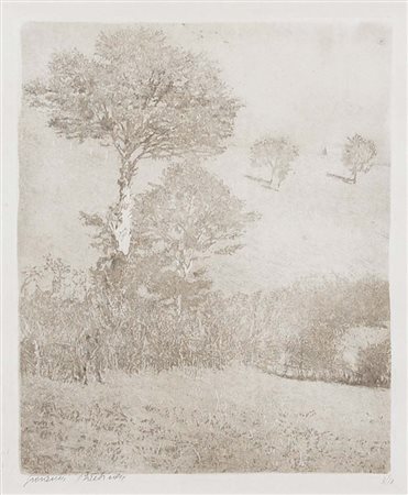 BARBISAN GIOVANNI Treviso 1914 - 1988 Tronco bianco 1955 acquaforte e...