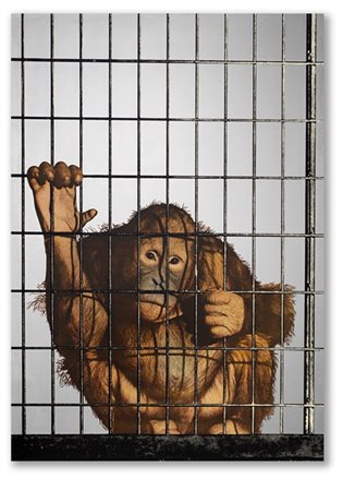 Michelangelo Pistoletto "Scimmia" 1972
serigrafia su acciaio lucidato a specchio