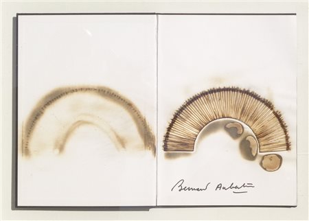 Bernard Aubertin Livre Brulé Rosenberg;Tecnica mista su libro applicato su...