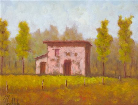 FERRUCCIO SESCHLEIFER - Senza Titolo