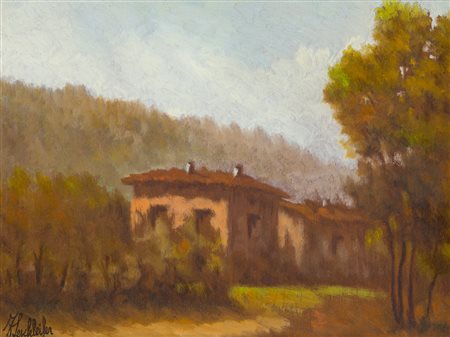 FERRUCCIO SESCHLEIFER - Senza Titolo