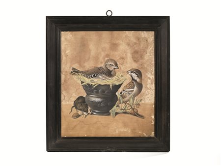 Seguace di Teresa Berenice Vitelli, secc. XVIII-XIXPAPPAGALLO, CINCIARELLA,...