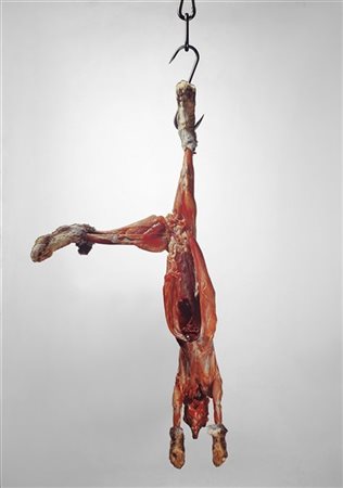 Michelangelo Pistoletto "Coniglio appeso" 1972
serigrafia su acciaio lucidato a