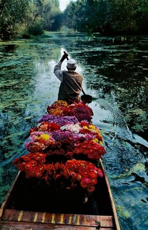MCCURRY STEVE Philadelphia (Pennsylvania, United States) 1950 Flower Seller....