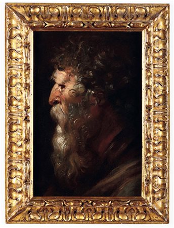 Studio di testa di vecchio Scuola fiamminga del XVII secolo