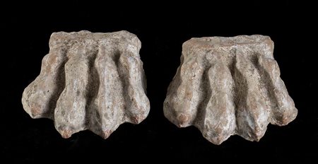 COPPIA DI SOSTEGNI IN FORMA DI ZAMPE LEONINECanosa, IV - III secolo...