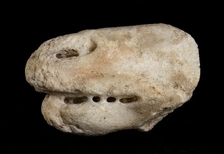 MUSO DI DRAGOEpoca tardo ellenistica, I secolo a.C. - I secolo d.C.Marmo a...