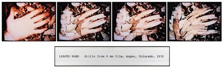 DENNIS OPPENHEIM   
Leafed Hand, 1970