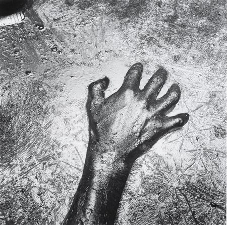 GÜNTER BRUS   
Senza titolo