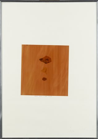 CLAUDIO PARMIGGIANI   
Albero musica e pelle umana, 1971
