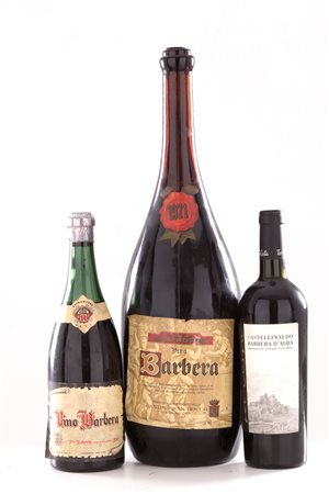 Selection of Barbera (3 bts)