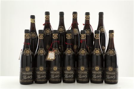 Amarone Recioto Valpolicella Sartori (13 bts)