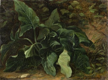 Angelo Inganni (Attribuito)

"Arbusto di serpentino" 
olio su carta (cm 27,5x36,