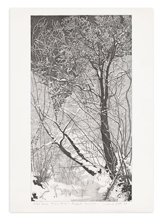 FEDERICA GALLI (1932-2009) - Bosco Piani Dossi: roggia Soncina, 1978