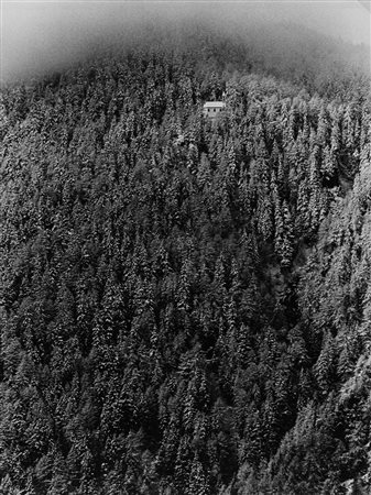 Mario De Biasi (1923-2013)  - Senza titolo (Pineta), years 1970