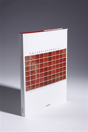 GALIMBERTI MAURIZIO (n. 1956) - ReadymadePolaroid Venezia.