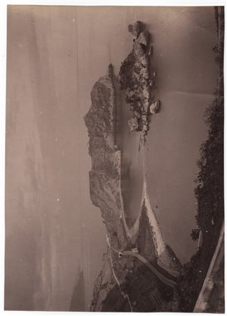 Von Gloeden, Wilhelm (Wismar1856-Taormina  1931)  - Veduta dell'Isola Bella