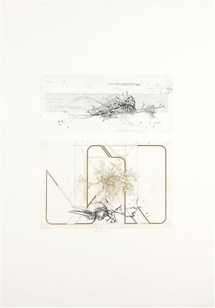 SARONI SERGIO Torino 1934 - 1991 "Nido" 70x50 (foglio) 34x30 acquaforte, es....