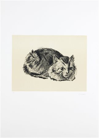 MESSINA FRANCESCO Linguaglossa (CT) 1900 - 1995 Milano "Gatto" 70x50...