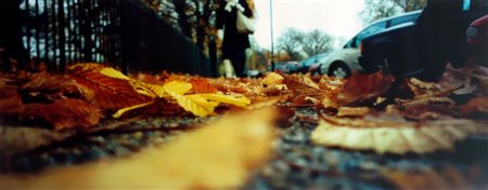 TANIA LOPEZ, C:/YoMera/Feet_on_the_Ground/London/HydePart/winter1.jpg