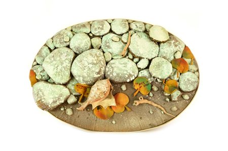 Piero Gilardi (1942) SPIAGGIA gommapiuma, cm 53,5x79,5x10 1984 38/66. Al...