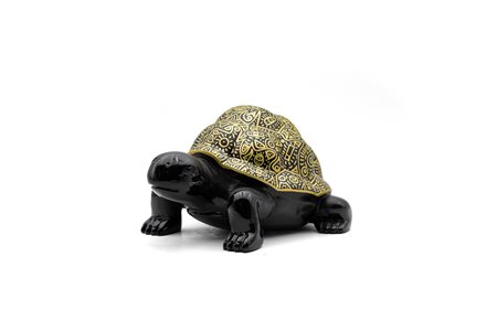 IVAN TODARO (1975) - Tartaruga Pop!, 2021